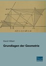 Grundlagen der Geometrie - David Hilbert - 9783956920165