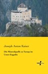 Die Mineralquelle zu Tarasp im Unter-Engadin - Joseph Anton Kaiser - 9783957384119