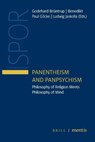 Panentheism and Panpsychism - Godehard Brüntrup ; Benedikt Paul Göcke ; Ludwig Jaskolla - 9783957431714