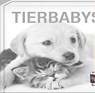 Tierbabys - Book To Go -  - 9783957990648
