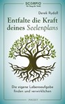 Entfalte die Kraft deines Seelenplans - Derek Rydall - 9783958034587