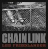 Lee Friedlander: Chain Link - Lee Friedlander - 9783958292598