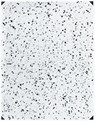 Andrea Ferrari: By Means of the Sun -  - 9783958299634