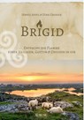 Brigid - Dirk Grosser ; Jennie Appel - 9783958836501