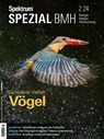 Spektrum Spezial BMH 2/2024 - Vögel - Spektrum der Wissenschaft - 9783958928527