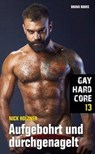Gay Hardcore 13: Aufgebohrt und durchgenagelt - Nick Holzner - 9783959853804