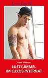 Loverboys 162: Lustlümmel im Luxus-Internat - Robin Haasters - 9783959854047