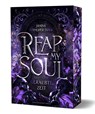 Reap my Soul - Geraubte Zeit - Janina Schneider-Tidigk - 9783959916431