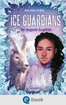 Ice Guardians 2. Der magische Eissplitter - Anna Maria Praßler - 9783960523994