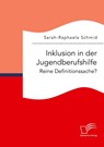 Inklusion in der Jugendberufshilfe. Reine Definitionssache? - Sarah-Raphaela Schmid - 9783961469918
