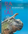 Raritas - Mario Ludwig - 9783961713912