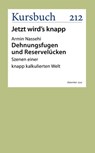 Dehnungsfugen und Reservelücken - Armin Nassehi - 9783961963027