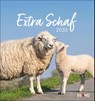 Extra Schaf Postkartenkalender 2026 -  - 9783964023742