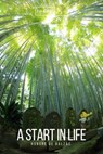 A Start in Life - Honore de Balzac ; Sheba Blake - 9783965445024