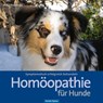 Homöopathie für Hunde - Petra Pawletko - 9783965550346