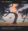 Alte Bäume - KUNTH Postkartenkalender 2026 -  - 9783965914377
