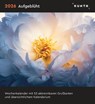 Aufgeblüht - KUNTH Postkartenkalender 2026 -  - 9783965914384
