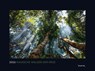 Magische Wälder der Erde - KUNTH Wandkalender 2026 -  - 9783965914933