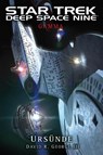 Star Trek - Deep Space Nine: Gamma - Ursünde - David R. George III. - 9783966580618