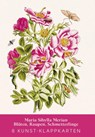 Maria Sibylla Merian - Acht Kunst-Klappkarten -  - 9783968492049