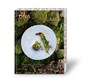 DNA DUCASSE - Emmanuel Pilon ; Jean-Philippe Blondet ; Amaury Bouhours - 9783985410835