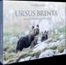 Ursus Brenta - Die Rückkehr der Bären in die Alpen - Horst Eberhöfer - 9783987011467