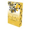 Duett of Love and Loss - Storming Hearts - Ronja Madeleine - 9783987183522