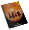 DSA1 - Die Göttin der Amazonen (remastered) - Ulrich Kiesow - 9783987320378