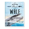 Trötsch Kinderbuch Das großartige Buch der Wale - Trötsch Verlag GmbH & Co. KG - 9783988023452