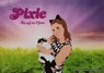 Pixie - Christina Schwarzfischer - 9783989300316