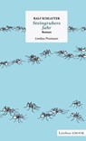 Steingrubers Jahr - Ralf Schlatter - 9783990391006