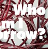 Chiharu Shiota - Thomas Häusle ; Chiharu Shiota ; Sina Wagner - 9783991530473