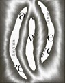 Lavinia Lanner: ONLY DRAW WHEN YOU ARE TIRED - Viktoria Draganova ; Paula Marschalek ; Klaus Speidel ; Katja Stecher - 9783991530725