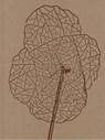 Alois Schild - Alois Schild ; Tamara Schild ; Mike B. Watson ; Bettina M. Bettina - 9783991532088