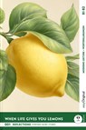 When Life Gives You Lemons - Reflections: 10 Everyday Short Stories vol. 001 - B1-B2 (+ Audio-Online) - Mabel Kemp - 9783991688723