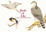 Birds of Edo - PIE International - 9784756253392