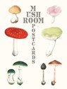 Mushroom Postcards - Pie International - 9784756253804