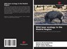 Wild boar ecology in the Madrid Region - Jimena Alcalá Bautista ; Adrián Duro Peinó ; Jorge Lozano Mendoza - 9786206777014