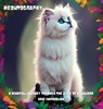 Meowtography - Abhi Indrarajan - 9786249951655