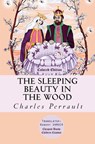 Sleeping Beauty in the Wood - Charles Perrault - 9786256015951