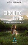Circuito de Cura: Nas Profundidades da Alma. - JOSÉ LUIZ DE SOUSA NETO - 9786501812281