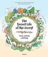 The Secret Life of the Forest: Trees, Animals, and Fungi - Jana Sedlackova ; Ivi Niesner ; Klara Holik - 9788000070957