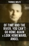 Thomas Wolfe: Of Time and the River, You Can't Go Home Again & Look Homeward, Angel - Thomas Wolfe ; Scarlett Burke - 9788027244539