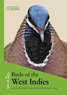 Birds of the West Indies - Guy M Kirwan ; Anthony Levesque ; Mark W Oberle ; Christopher J Sharpe - 9788416728183