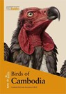 Birds of Cambodia - Cambodia Bird Guide Association (CBGA) - 9788416728206