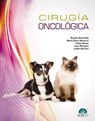 Cirugía oncológica - Rodolfo Brühl-Day ; María Elena Martínez ; Pablo Meyer ; Juan Mangieri ; Judith Bertrán Trepat - 9788418498633