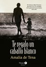 Te Regalo Un Caballo Blanco (I Will Give You a White Horse - Spanish Edition) - Amalia de Tena - 9788418976537