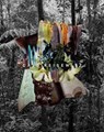 Caio Reisewitz: Disorder - Caio Reisewitz - 9788434313491