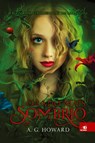 O Lado Mais Sombrio - A G Howard - 9788581633381