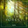 Ambience - In the Forest - Rasmus Broe - 9788726258523